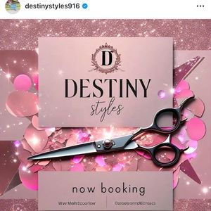 Meet your Posher, Destiny